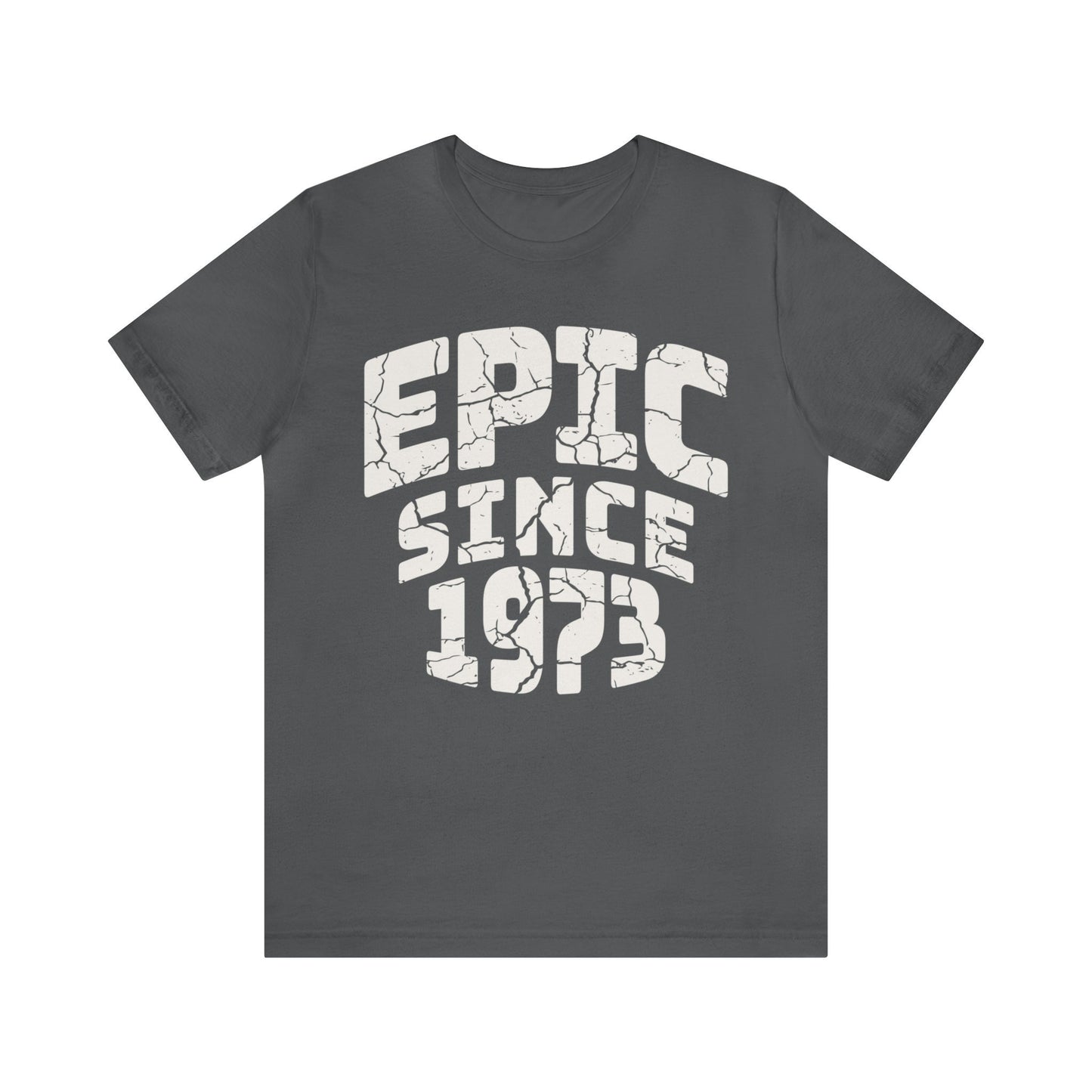 Epic Since 1973 birthday gift for Man or Husband, 50th Birthday t-shirt for Father